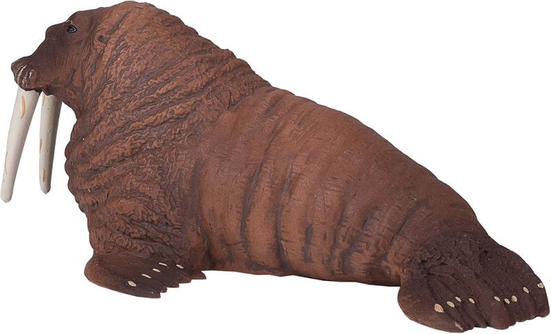 MOJO Walrus Realistic International Wildlife Hand Painted Toy Figurine - Image 2